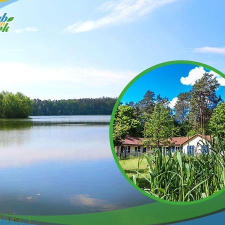 Jagd-Angler-Suite-03-Im-Wald-Am-See Kyritz Esterno foto